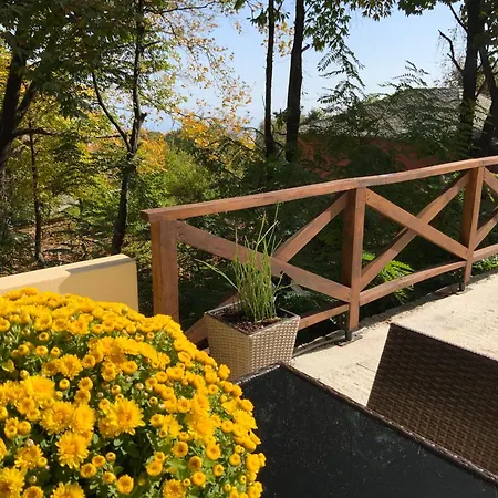 Pelion 7 Lives Holiday home